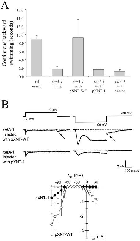 Fig 1.