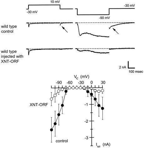 Fig 3.