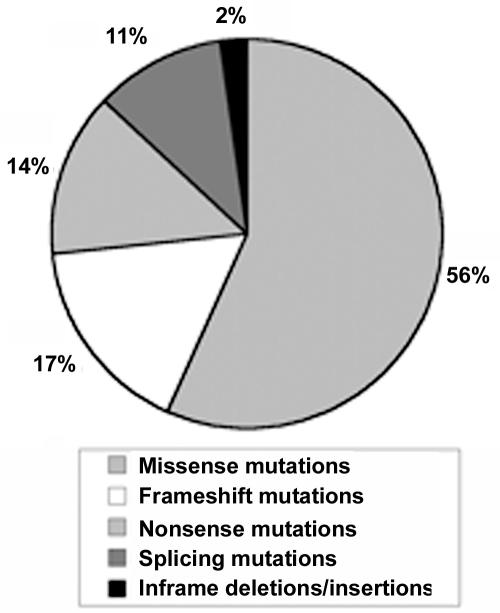 Figure  1. 