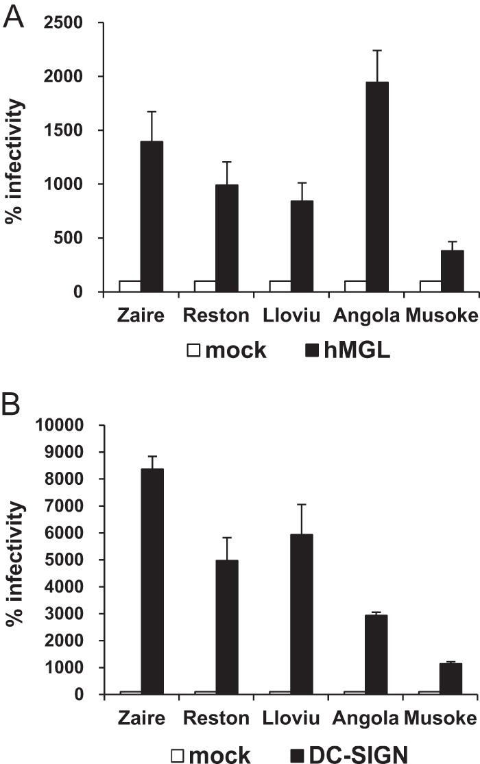 FIG 6