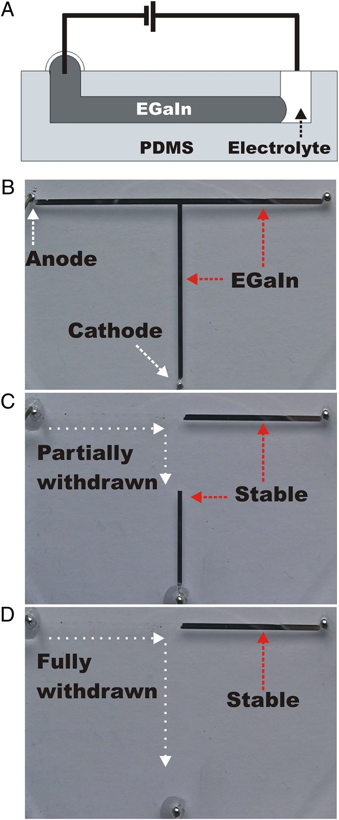 Fig. 5.