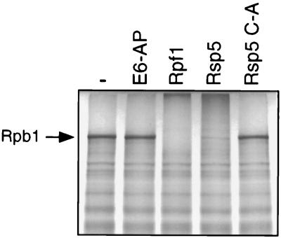 FIG. 8