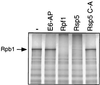 FIG. 8