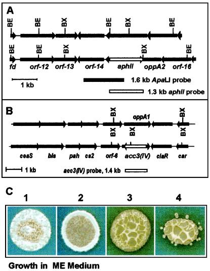 FIG. 3.