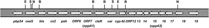 FIG. 1.