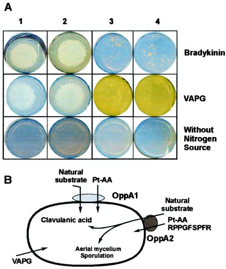 FIG. 7.