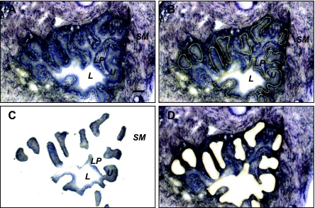 Fig. 4.