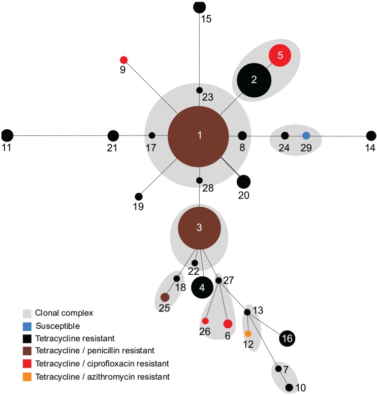 Fig 4