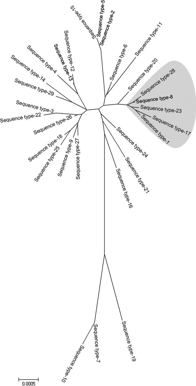 Fig 1