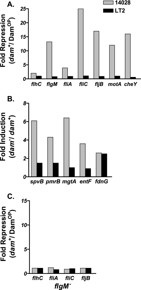 FIG. 3.