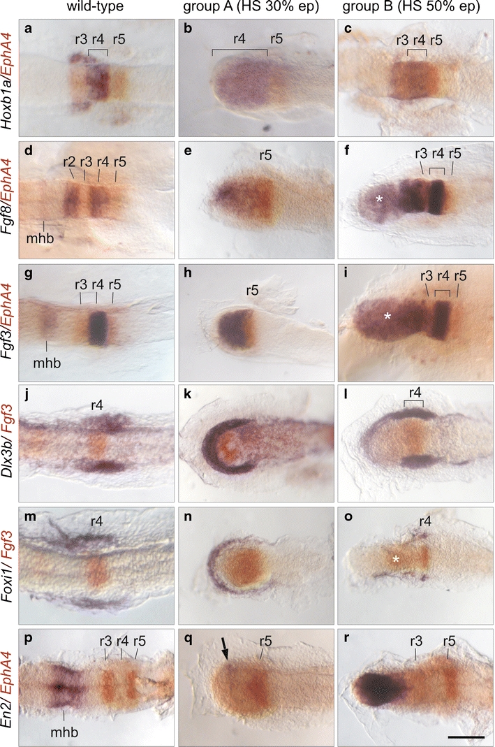 Fig. 4