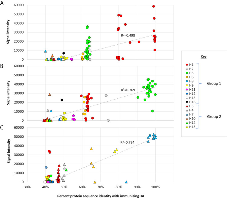 Figure 4