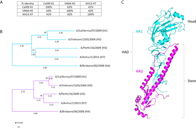 Figure 1