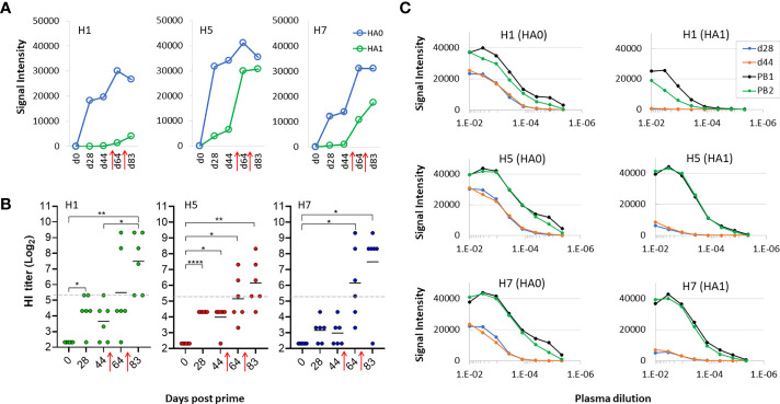 Figure 6