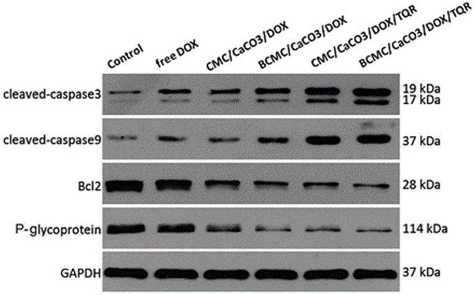 Fig. 7