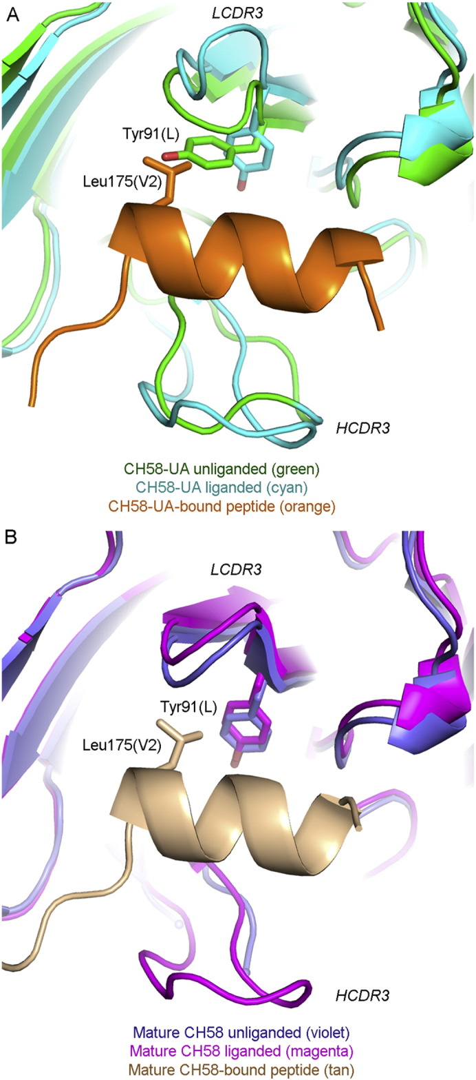 Fig. 6