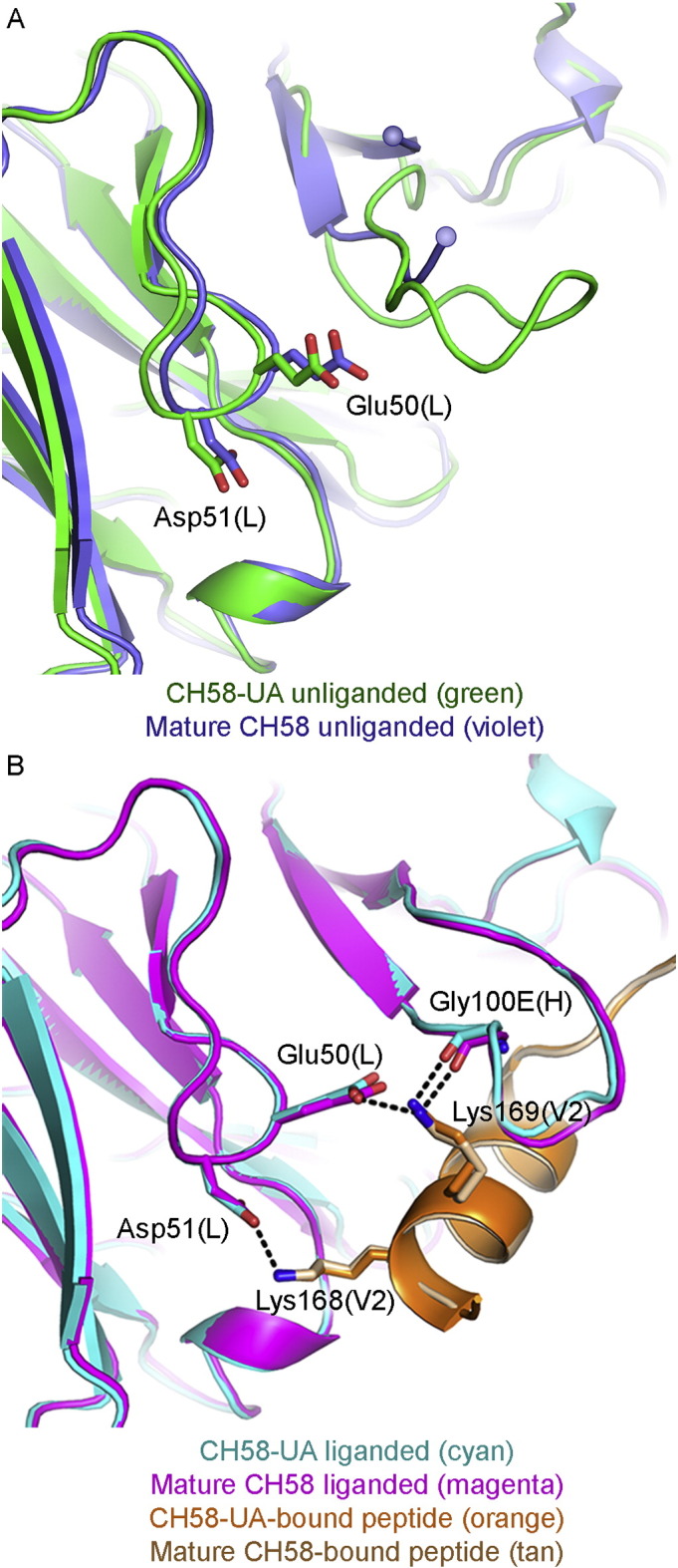 Fig. 4