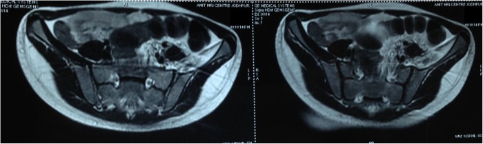 Figure 4