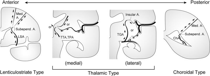 FIG 1.