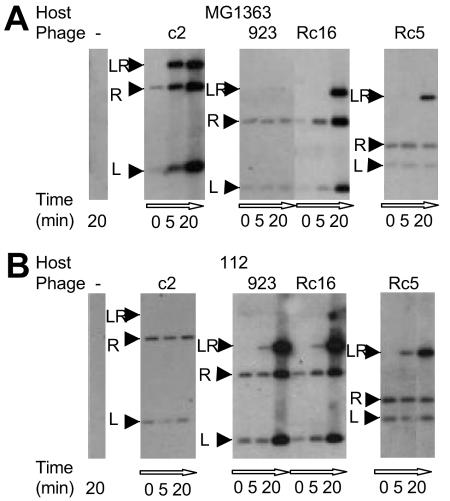 FIG. 4.