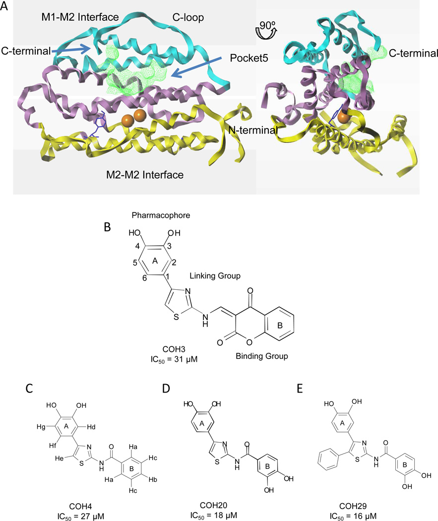 Fig. 1