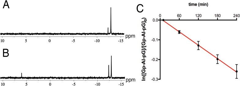 Figure 3—figure supplement 1.