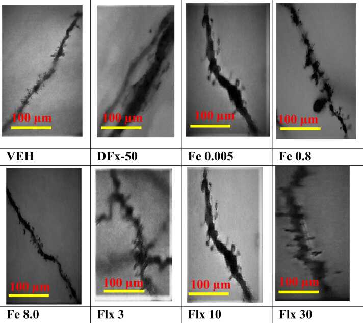 Fig. 13