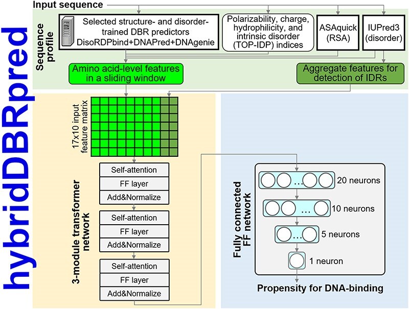 Graphical Abstract