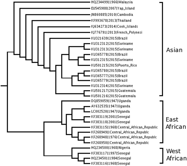 Fig 2