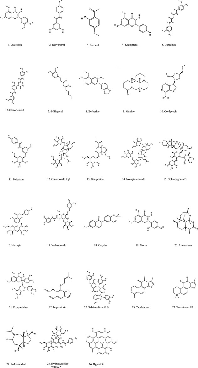 FIGURE 4