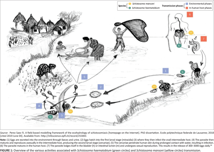 FIGURE 1