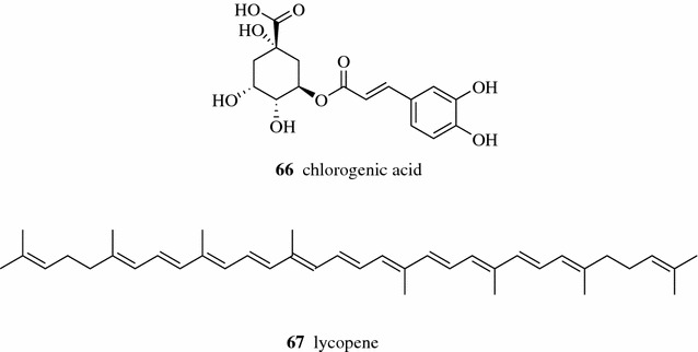 Fig. 10