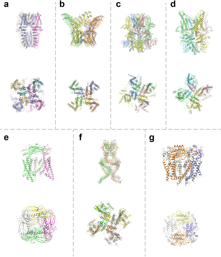 Fig. 3