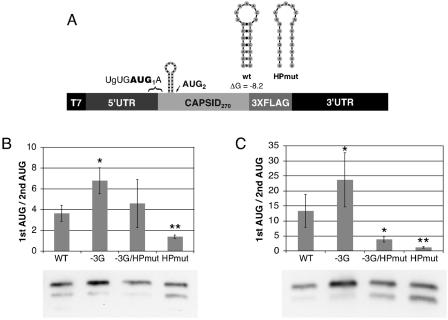 FIG. 4.