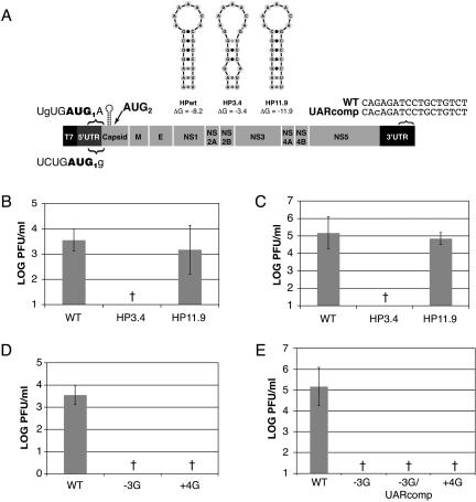 FIG. 7.