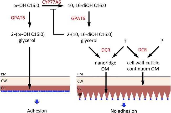 Figure 9.