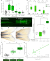 Fig. 2: