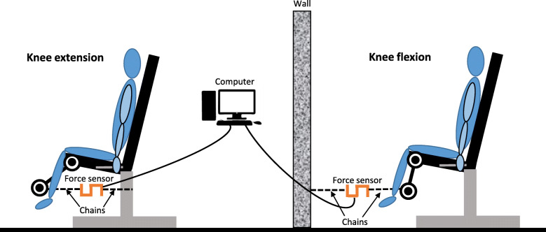 Fig. 5