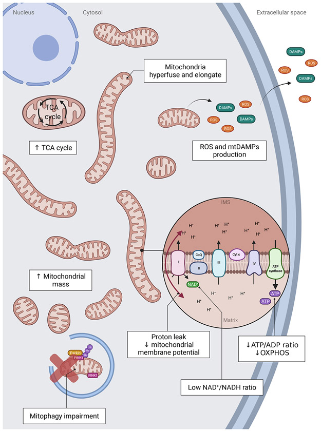 Figure 1: