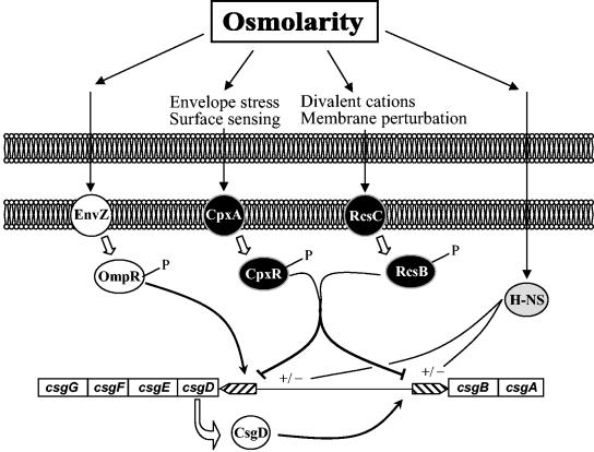 FIG. 7.