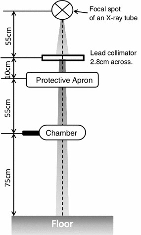 Fig. 1