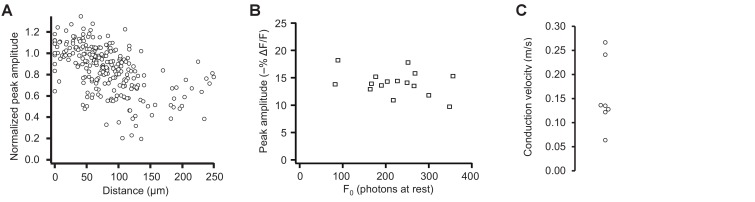 Figure 10—figure supplement 1.