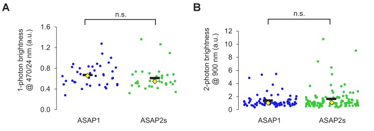 Figure 1—figure supplement 2.