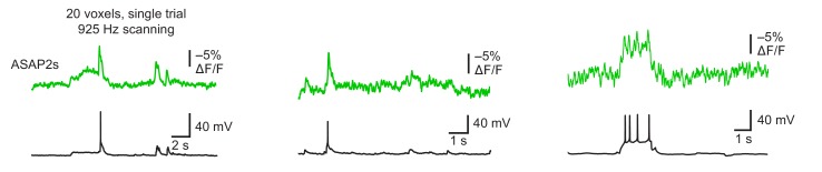 Figure 4—figure supplement 2.