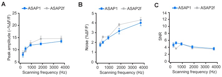 Figure 7—figure supplement 1.