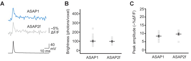 Figure 4—figure supplement 3.