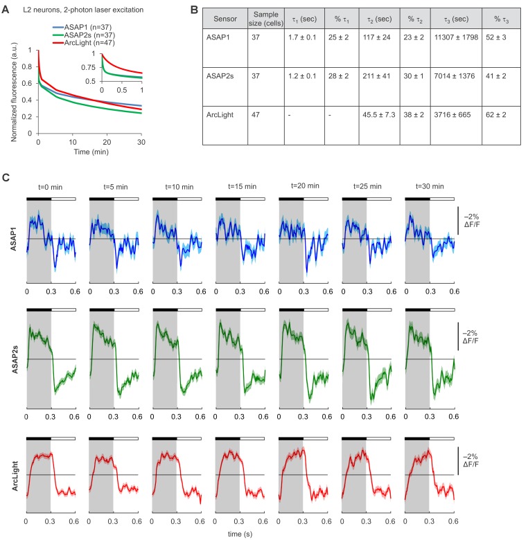 Figure 3—figure supplement 1.