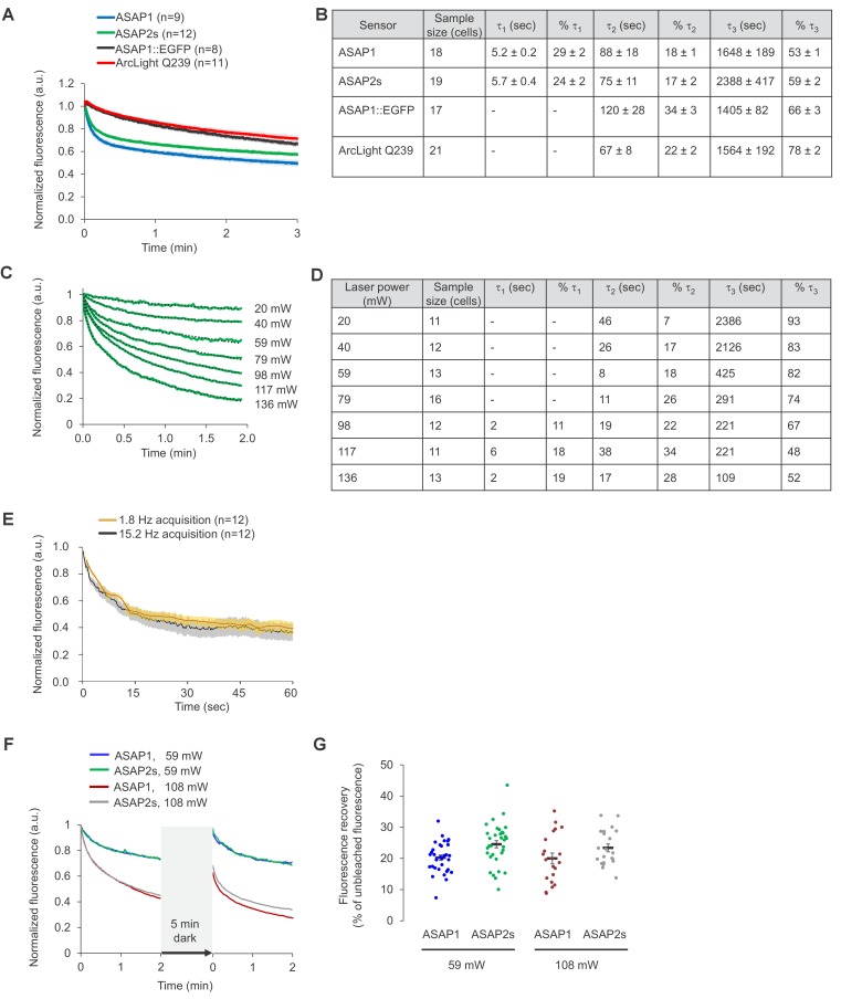 Figure 1—figure supplement 4.