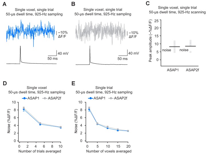 Figure 9—figure supplement 1.