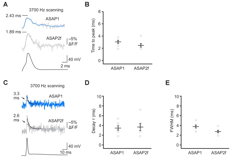 Figure 6—figure supplement 2.